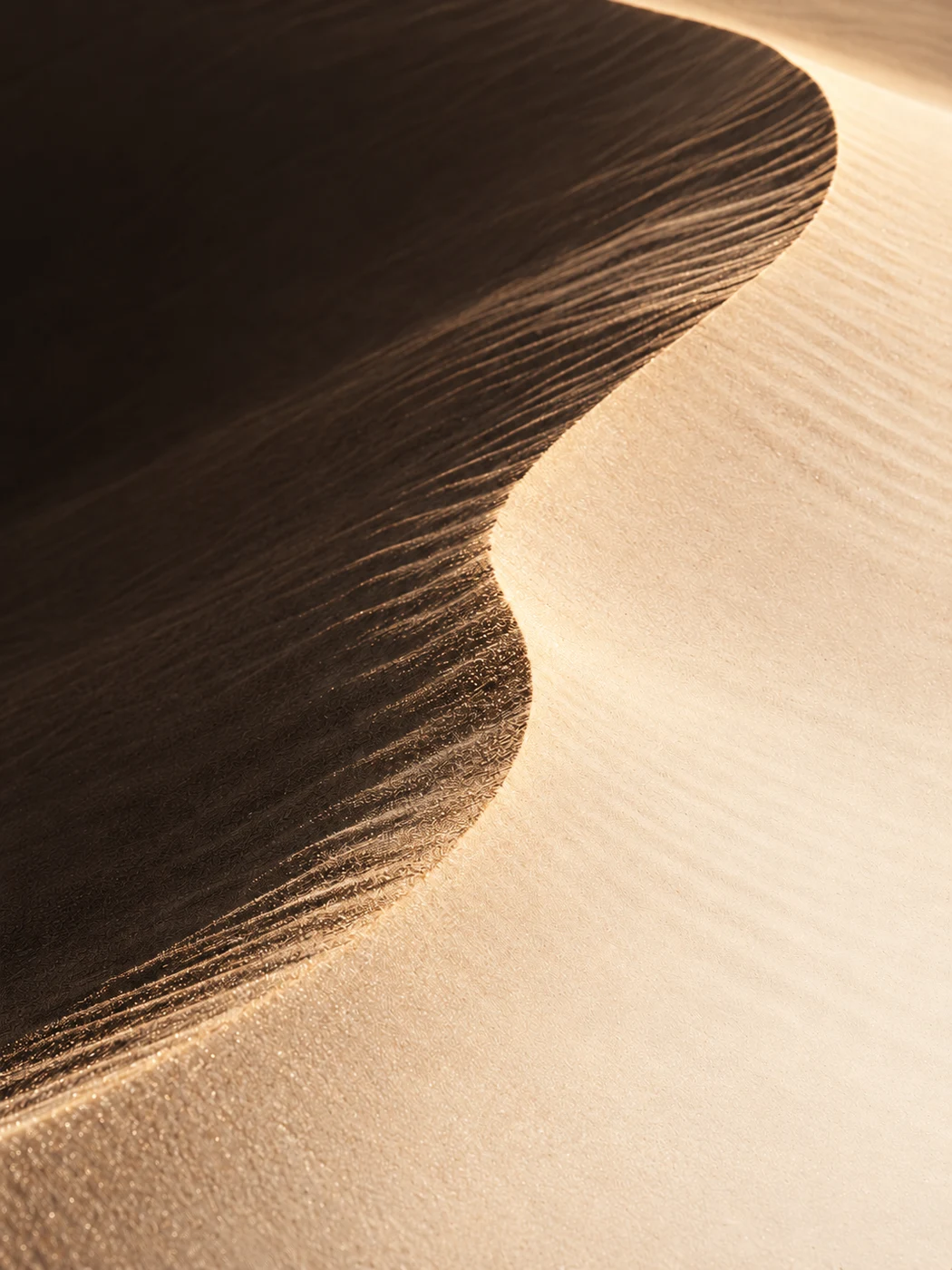 A sculpted sand dune with a curved ridge, warm light and deep charcoal shadow